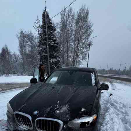 Автомобили с неисправным двигателем БМВ x3 G01, 2019 выкупили за 2950000